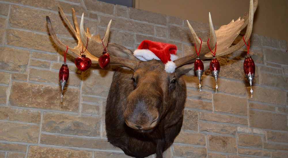 Magna Dental, PC Every Smile